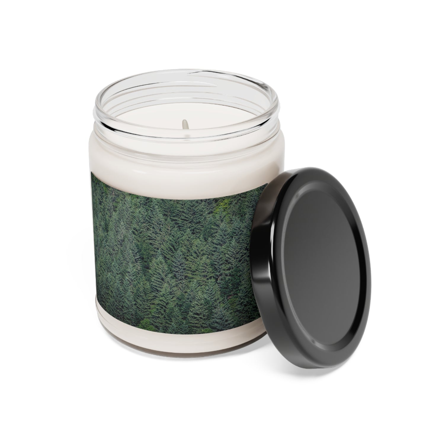 Trees of the Tongass Scented Soy Candle