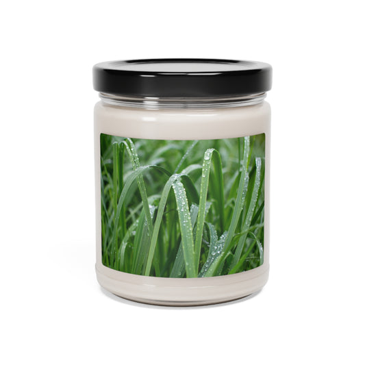 Grass Scented Soy Candle