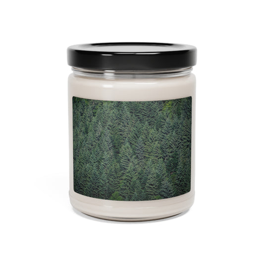Trees of the Tongass Scented Soy Candle