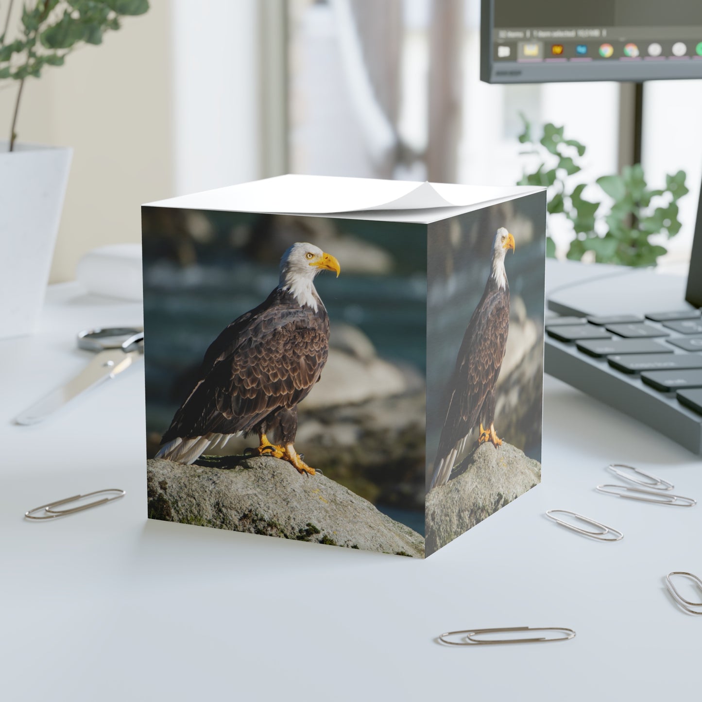 Regal Bald Eagle Note Cube