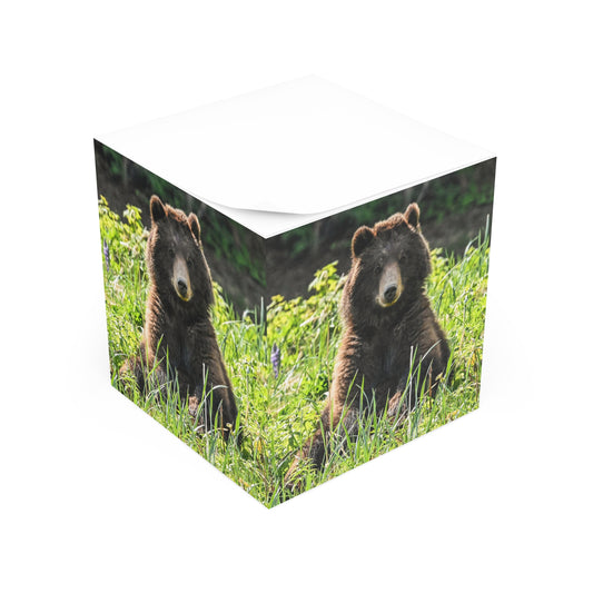 Pack Creek Teddy Bear Note Cube