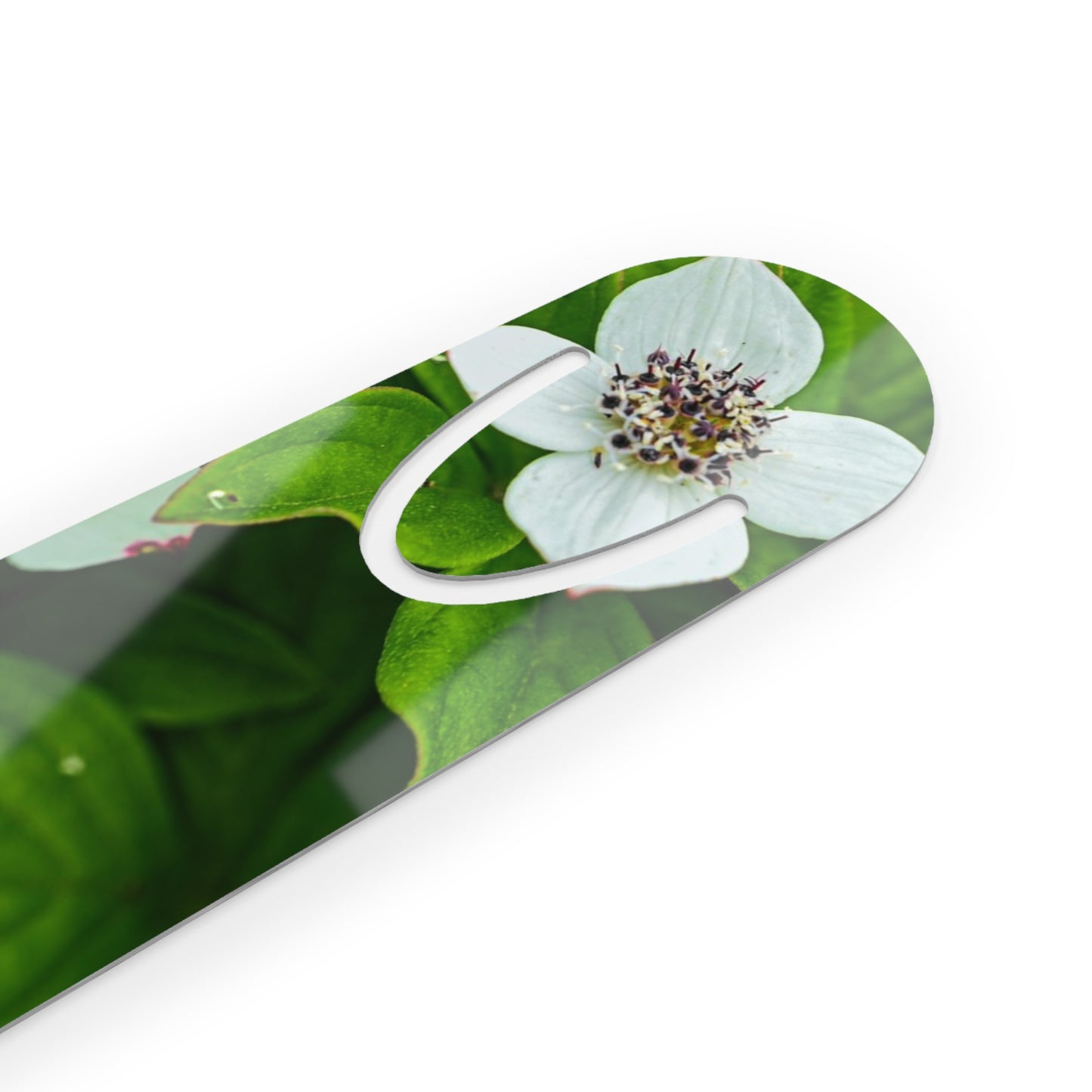 Mountain Side Dogwood Bookmark