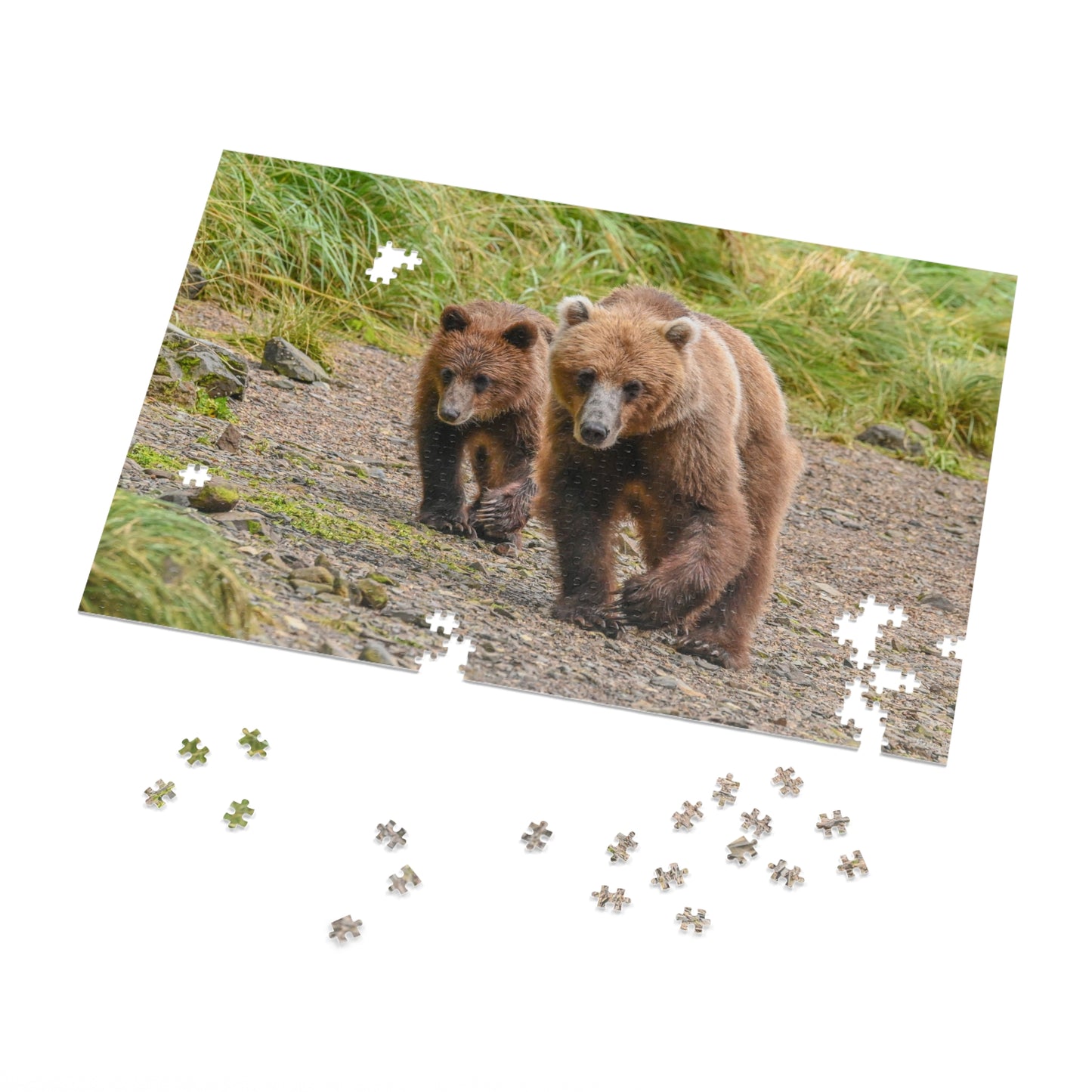 Brown Bear, Brown Bear Puzzle