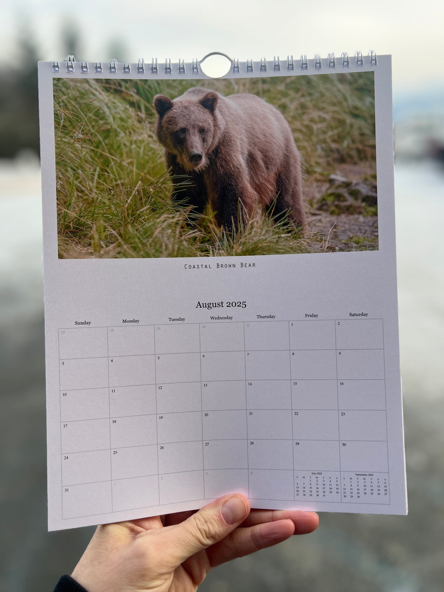 2025 Alaska Wildlife & Scenery Calendar