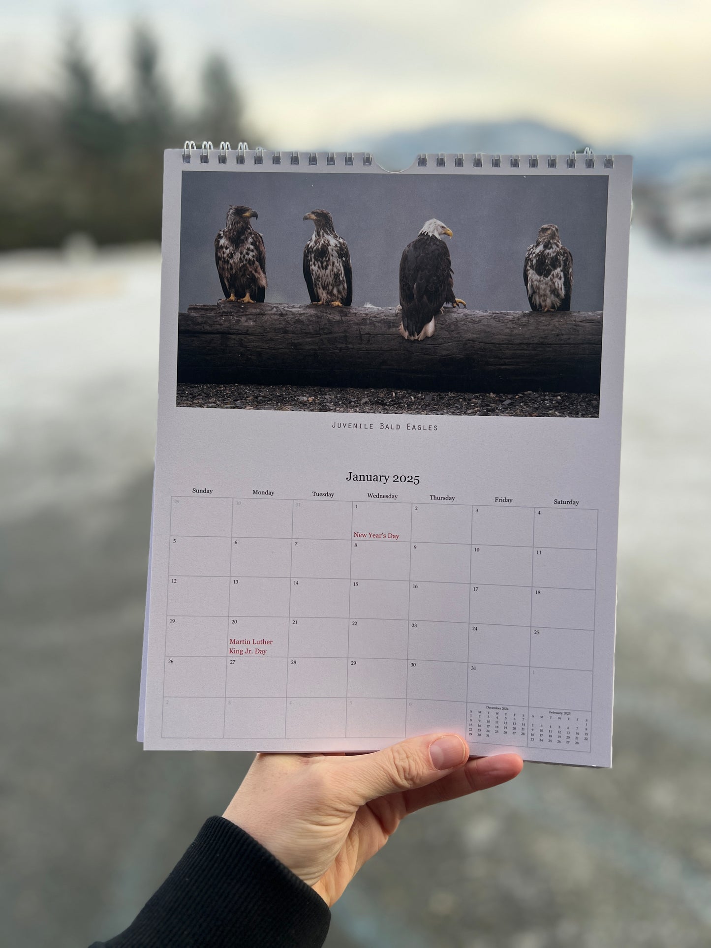 2025 Alaska Wildlife & Scenery Calendar