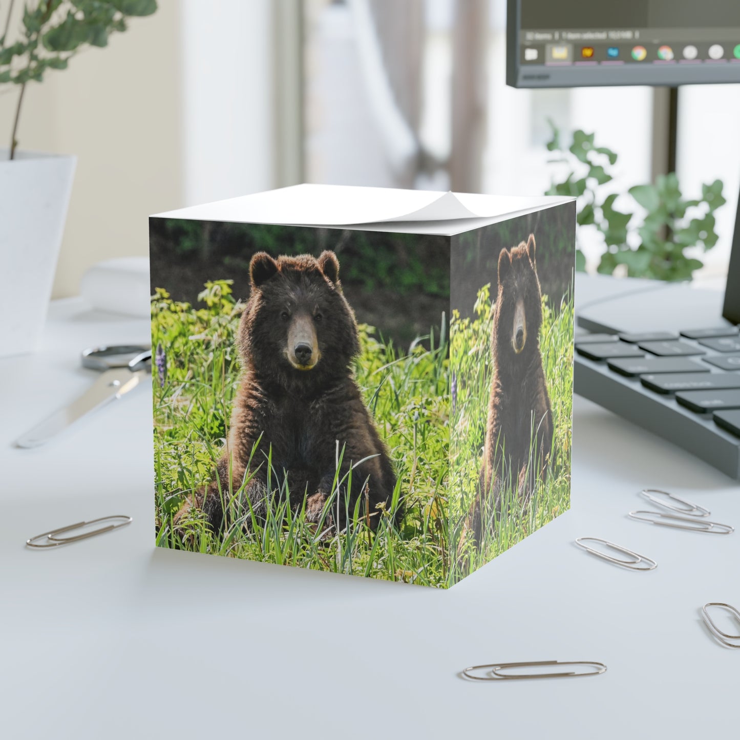 Pack Creek Teddy Bear Note Cube